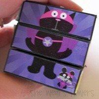 Puzzle Cube 9[6]