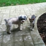 Brody and Maya