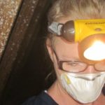 attic gear