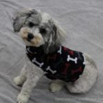 Brody-in-sweater