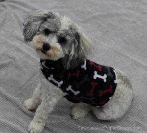 Brody-in-sweater