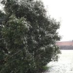 snow day