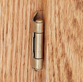 overlay hinge