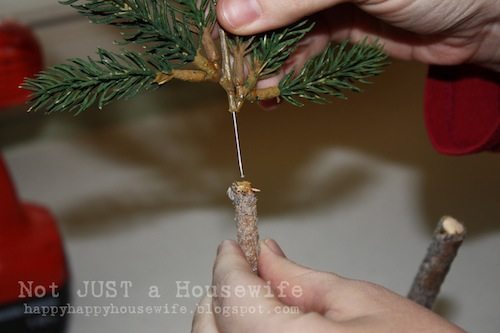 pine tree topiary tutorial 8