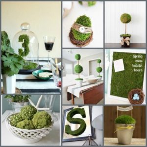 Spring Decorating with Moss