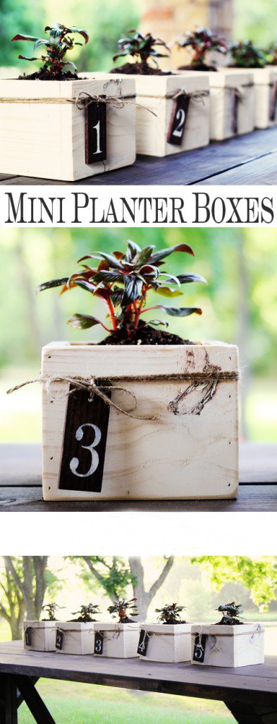 DIY Planter Boxes