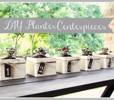 Planter Box Centerpieces