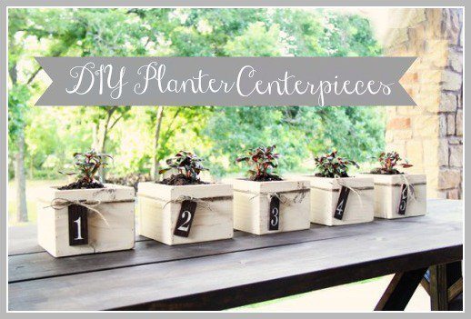 Planter Box Centerpieces