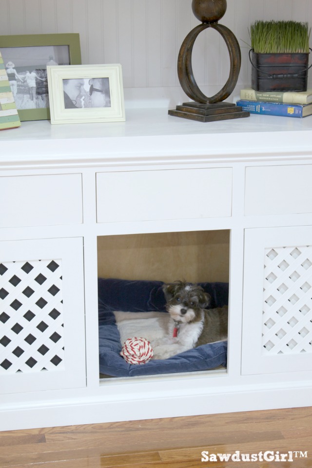 Built-in Bookshelf Dog Crate
