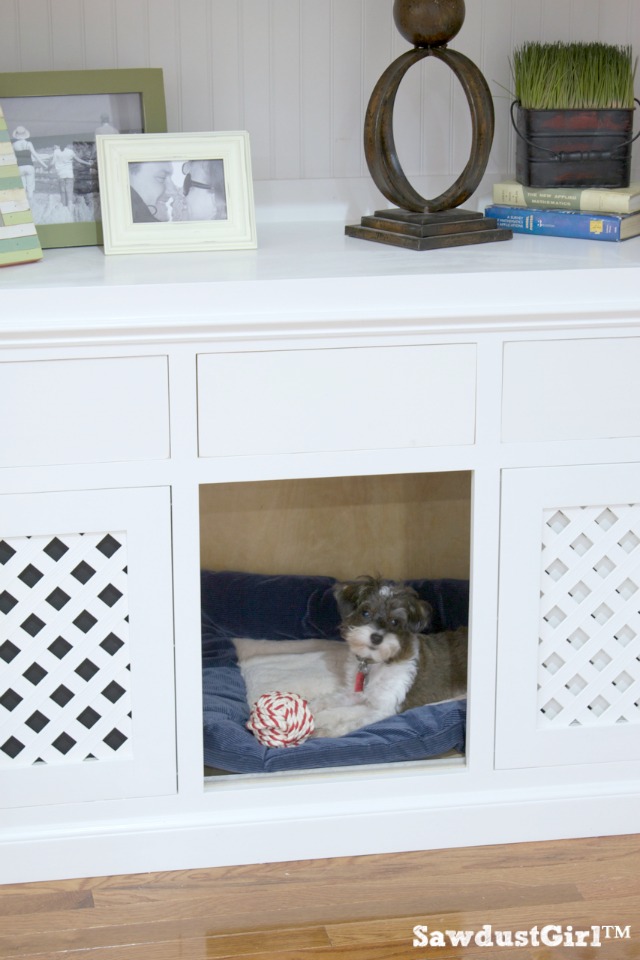 Built in Bookshelf Dog Crate Sawdust Girl