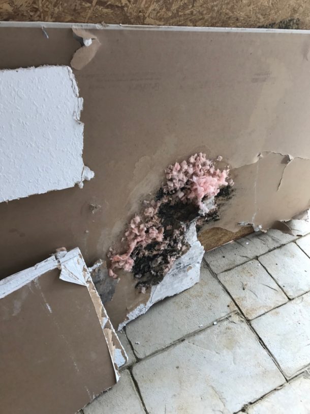 Jack And Jill Bathroom Update - Week 6 | Sawdust Girl
