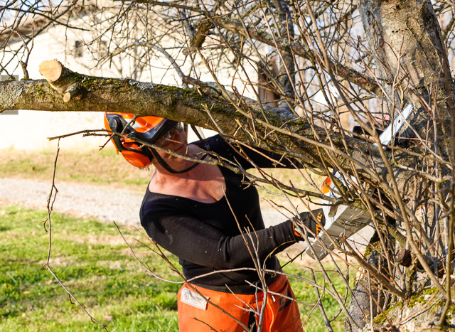 11 Acres is a LOT – Outdoor Cleanup